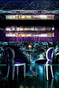 Sanderson: Purple Bar